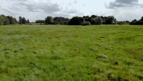Luftaufnahmen-über-Grünem-Gras