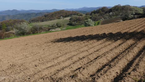 Fields-planted-with-potatoes