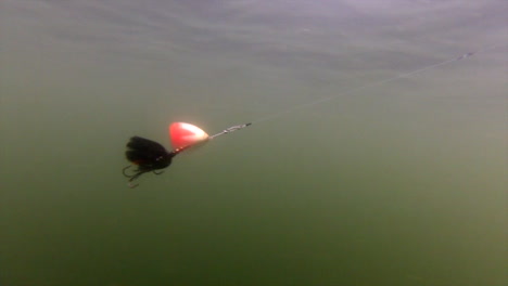Black-Spinner-Lure-Reflects-Light-From-Above-Water---underwater-medium-shot