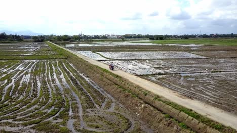 Blonde-female-tourist-and-male-riding-a-moped-along-rice-paddies-in-the-rural-fishing-village,-Aerial-follow-shot