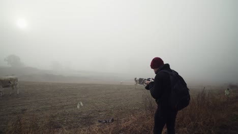 Scenic-view-of-male-photographer-kneeling-and-taking-photo-of-dairy-cows-grazing-in-countryside-farm-on-foggy-day,-low-vantage-approach