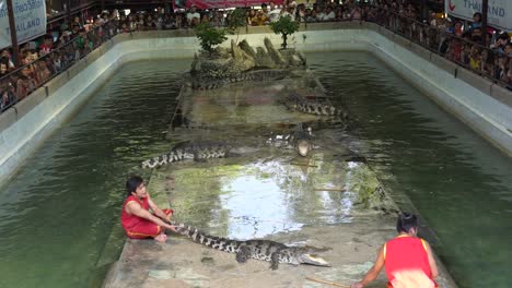Zoowärter-Legt-Seine-Hand-In-Das-Maul-Eines-Gefährlichen-Krokodils-Während-Der-Krokodilshow-Auf-Der-Krokodilfarm-Und-Im-Zoo-Von-Samut-Prakan-In-Samut-Prakan,-Thailand