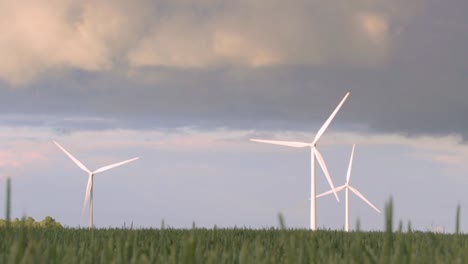 Windkraftanlagen-Im-Weizenfeld