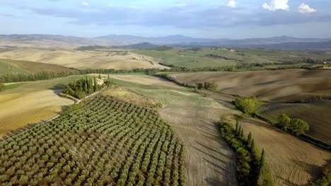 Villa-in-Tuscany-Italy-with-Olive-tree-orchards-and-cypress-trees,-Aerial-circle-right-reveal-shot