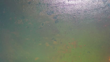 Luftaufnahme-Von-Oben-Nach-Unten-Auf-Einen-See-Mit-Klarem-Wasser,-Dessen-Wasser-Im-Sonnenlicht-Schimmert