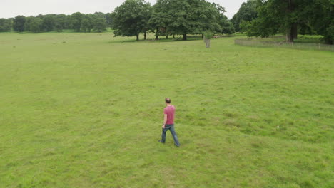 Aerial-view-of-a-man-walking-in-Richmond-Park,-camera-is-following-the-person-walking