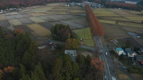 Farmlands-of-Japan,-Aerial-view-of-Shiga-in-the-early-morning