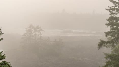 Beautiful-Ucluelet-British-Columbia-in-Foggy-Early-Morning-Hyperlapse
