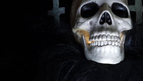 Human-skull-on-creepy-background-medium-shot