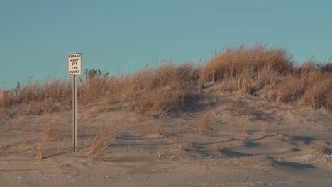Keep-Off-Dunes-Sign-With-Golden-Grass-Against-Blue-Sky