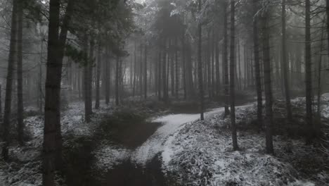 Drone-footage-flying-through-a-froze-and-misty-forest