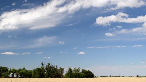 View-of-a-wheat-sown-field,-with-a-grove-and-a-pair-of-silos-in-the-background-on-a-sunny-afternoon