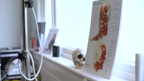 Close-up-of-cosmetician's-office-facial-anatomy-decoration
