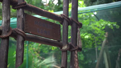 Monkey-Lane-signage-at-zoo,-continuous-close-shot