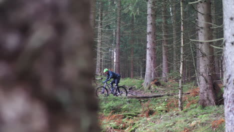 Einsamer-Mountainbiker,-Der-An-Einem-Feuchten-Herbsttag-Fahrrad-Zwischen-Waldwäldern-Fährt