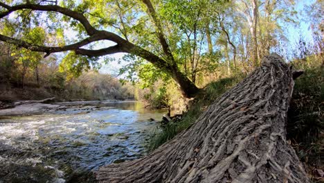 Panning-left-past-large-fallen-log-towards-a-large-overhanging-tree-that-is-positioned-over-a-fast-flowing-wide-section-of-creek