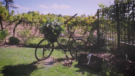 A-rustic-bicycle-decorates-a-wedding-venue,-next-to-a-suitcase-saying-'Just-Married'