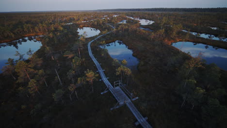 Panning-shot-of-water-reservoirs-and-pathway-in-the-swamp