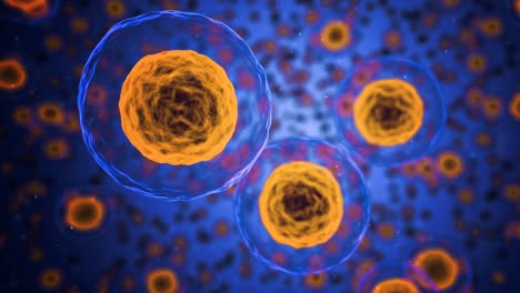 Cinemagraph-of-active-cells-in-body-background