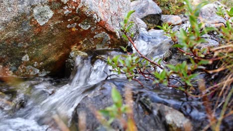 Close-up-shot-of-flowing-water-stream-along-rocks,stones-and-plants-during-sunny-day