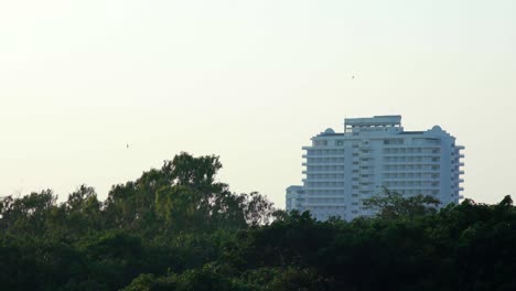 View-of-a-white-building-and-birds-flying-around-during-sunset