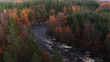 Aerial-Drone-flyover-pan-down-of-River-Rapids-in-Scotland-Autumn