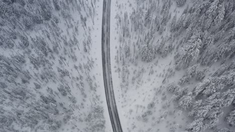 Luftaufnahme-Einer-Eis--Und-Schneebedeckten-Straße-Durch-Einen-Schneebedeckten-Wald