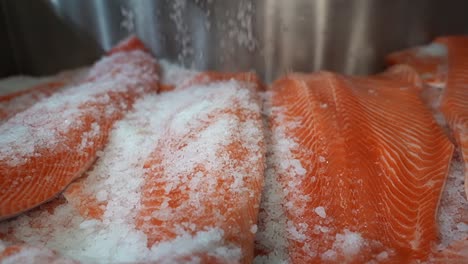Rock-salt-sprinkling-traditonal-method-of-preserving-salmon-fish