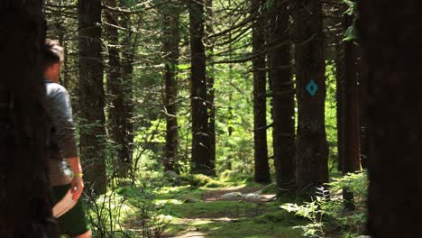 Eine-Mann-Frau-Wanderung-Auf-Dem-Huckleberry-Trail,-Der-Sich-Im-Nationalen-Erholungsgebiet-Spruce-Knob-Seneca-Rocks-In-West-Virginia-Befindet