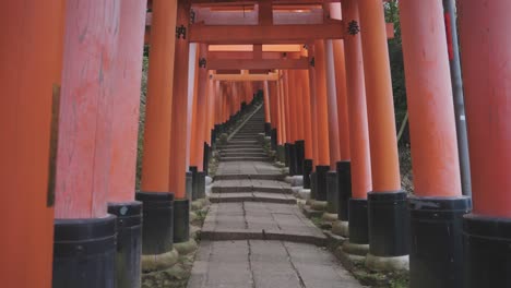 Puertas-Torii-Rojas-En-Fushimi-Inari-Taisha,-Inclinación-Hacia-Arriba-Revelada-Sin-Gente,-Kyoto