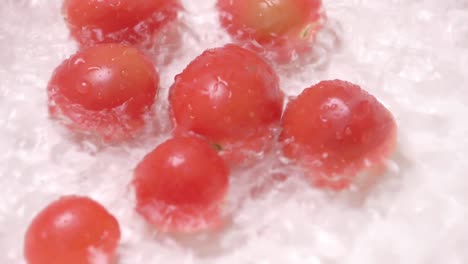Kleine-Tomaten-Auf-Weißem-Hintergrund,-In-Wasser-Desinfiziert