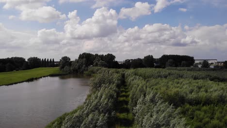 Tree-Line-Path-Beside-River-In-Ridderkerk