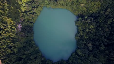 Aerial-drone-video-of-a-hidden-lake-in-the-middle-of-the-rainforest-in-Azores-volcanic-islands