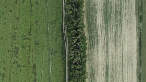 Aerial-view-moving-forward-following-a-lane-or-road-throguh-agricultural-land