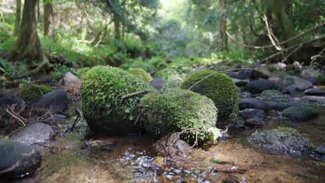 Moss-covered-rocks-in-tranquil-river-in-mountain-scene,-Tottori-Japan