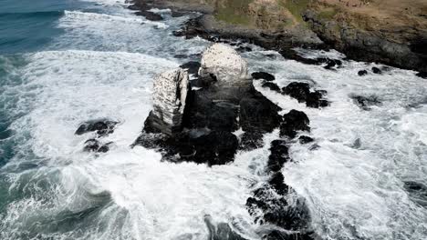 Aerial-orbit-of-Punta-de-Lobos-rocks-with-birds-on-their-tops-on-a-sunny-day