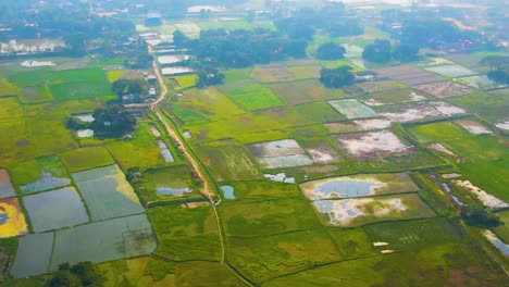 Dramatic-aerial-views-of-rural-rice-fields-near-Dhaka-Bangladesh,-sweeping-panoramic
