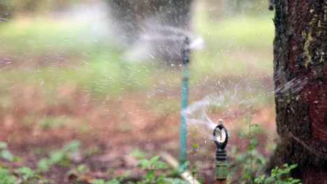 Close-Up-Footage-of-Water-Sprinkler-Splash-The-Water-On-The-Field