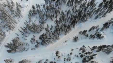 Paisaje-Nevado-En-El-Parque-Forestal-Nacional-Con-árboles-Densos-Y-Cabañas-Durante-El-Invierno-En-Inari,-Laponia,-Finlandia