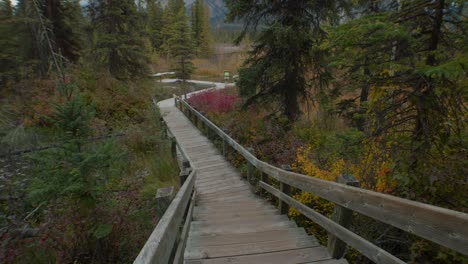 Boardwalk-by-a-swamp-in-forest-at-autumn-wide