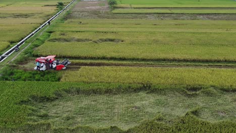 Combines-harvester-harvesting-rice-on-a-bright-day