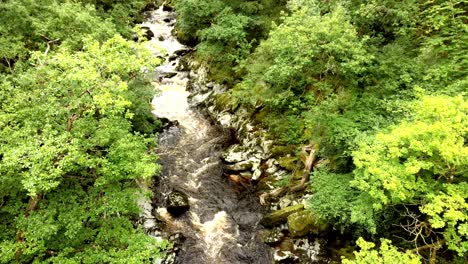 Aerial-lowering-view-of-beautiful-river-in-forest
