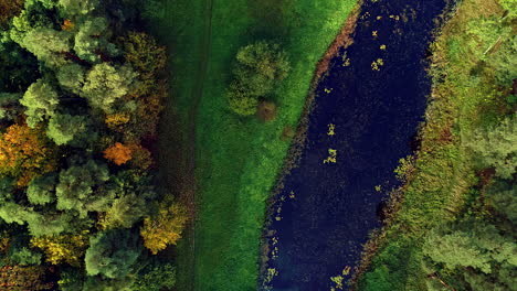 Rotierende-Luftaufnahme-Eines-Schmalen-Flusses,-Der-Tagsüber-Durch-Einen-üppigen-Grünen-Wald-Fließt