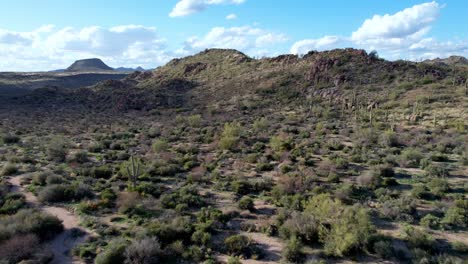 Kaktus--Und-Wüstenbodenantenne-über-Phoenix-Arizona