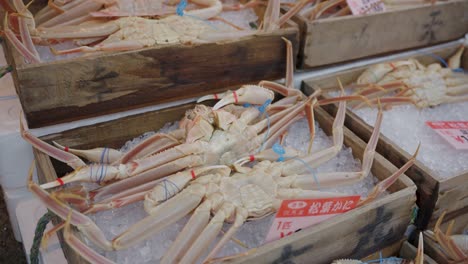 Frische-Lebende-Japanische-Krabben-Auf-Eis-Am-Fischmarkt,-Kinosaki-Onsen-Stadt