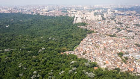 Vista-Aérea-Sobre-El-Paisaje-Urbano-De-Sao-Paulo,-Edificios-Que-Invaden-El-Bosque