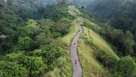 Campuhan-Ridge-Walk-Bali-Ubud-Hiking-Trail-Tourists-Walking-Aerial