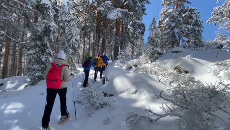 People-Group-Hiking-With-Rackets-On-Snowy-Winter-Mountain-Forest-Trail