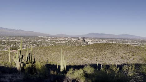 Pan-Tucson-Arizona-En-La-Distancia-Con-Cactus-En-Primer-Plano