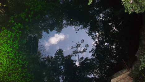 Cenote-Mitten-Im-Dschungel,-Blick-Von-Oben